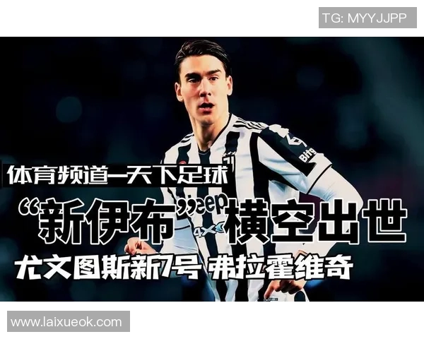 弗拉霍维奇的崛起与未来展望：如何在足球界书写传奇篇章